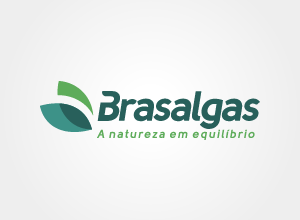 green light comunicação, portfólio, Brasalgas, criação de website, marketing, desenvolvimento, identidade visual, logo marca, áudio, video